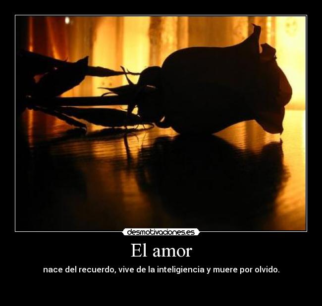 El amor - nace del recuerdo, vive de la inteligiencia y muere por olvido.