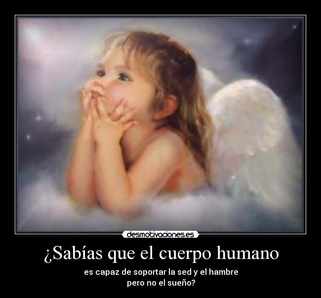 ¿Sabías que el cuerpo humano -