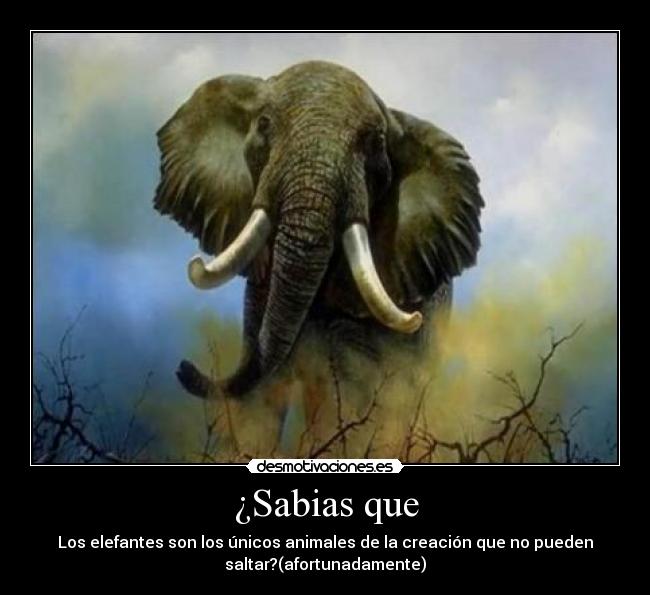 ¿Sabias que - Los elefantes son los únicos animales de la creación que no pueden
saltar?(afortunadamente)