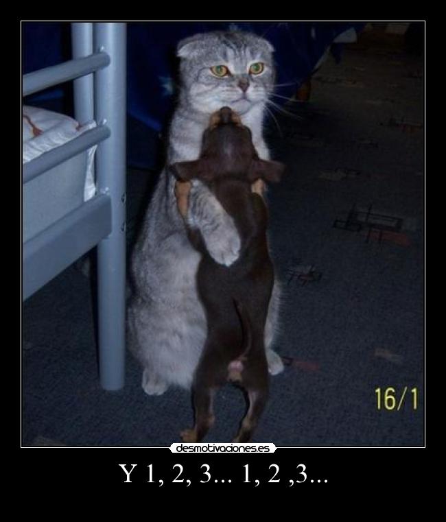 Y 1, 2, 3... 1, 2 ,3... -