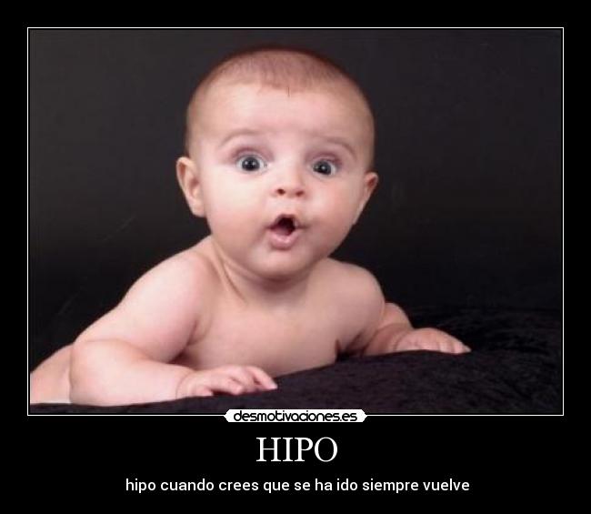 HIPO - hipo cuando crees que se ha ido siempre vuelve