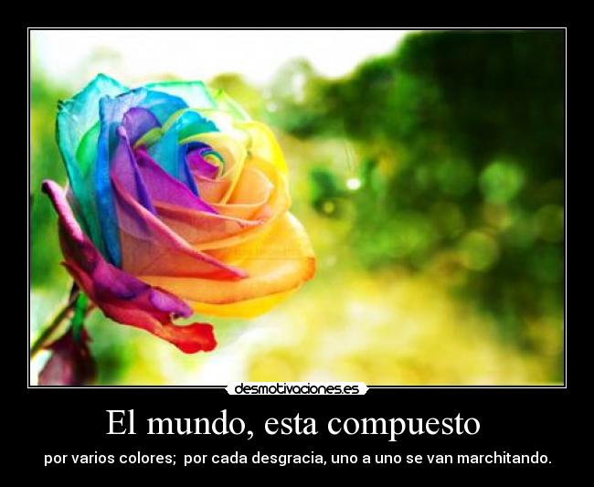El mundo, esta compuesto - por varios colores; por cada desgracia, uno a uno se van marchitando.