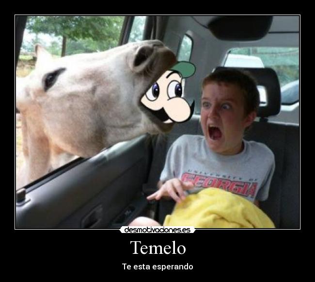 Temelo - Te esta esperando