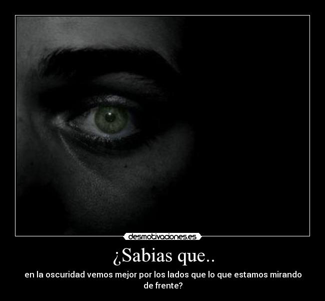 ¿Sabias que.. - en la oscuridad vemos mejor por los lados que lo que estamos mirando de frente?