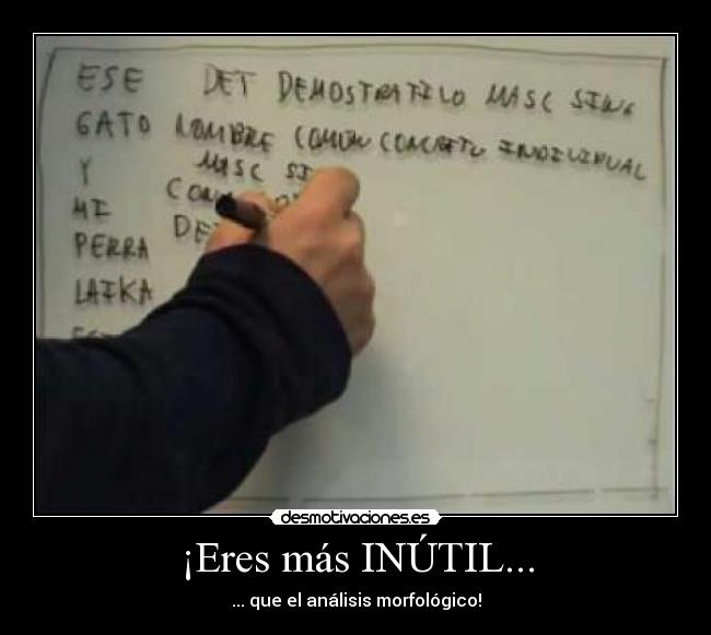 ¡Eres más INÚTIL... - ... que el análisis morfológico!