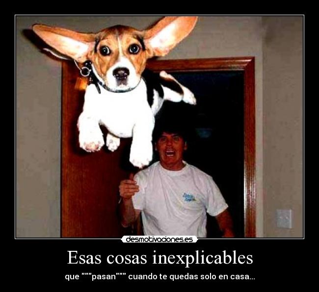 Esas cosas inexplicables - 