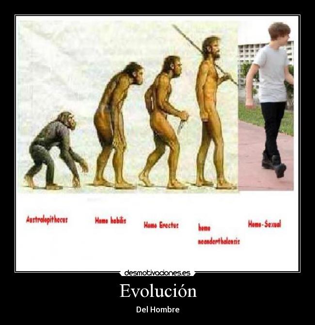 Evolución - 