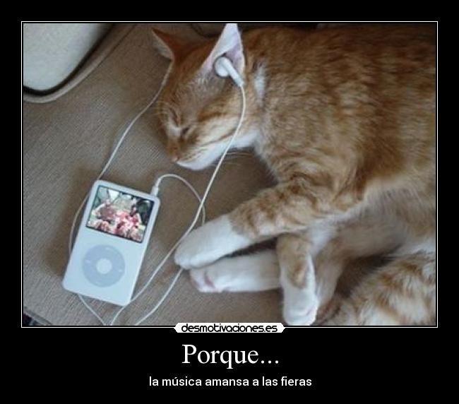 Porque... -