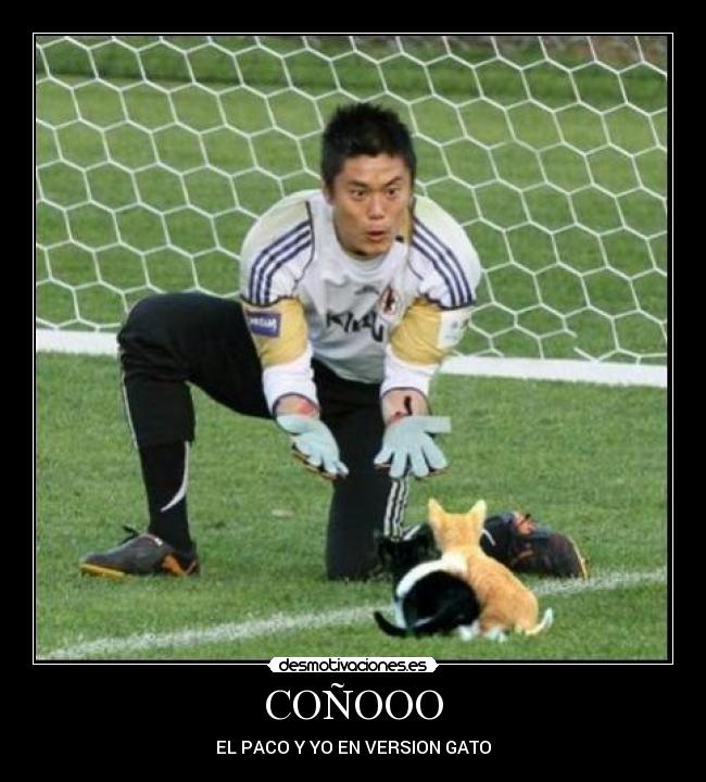 COÑOOO - EL PACO Y YO EN VERSION GATO
