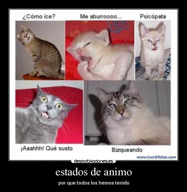 estados de animo - por que todos los hemos tenido