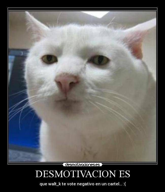 DESMOTIVACION ES - que walt_k te vote negativo en un cartel... :(