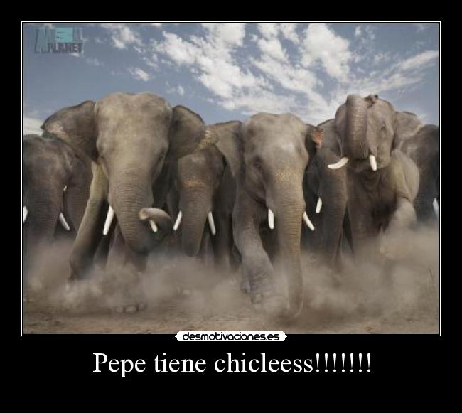 Pepe tiene chicleess!!!!!!! - 