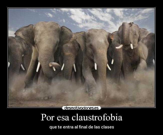 Por esa claustrofobia - que te entra al final de las clases