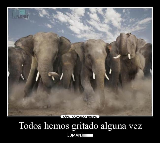 Todos hemos gritado alguna vez - 