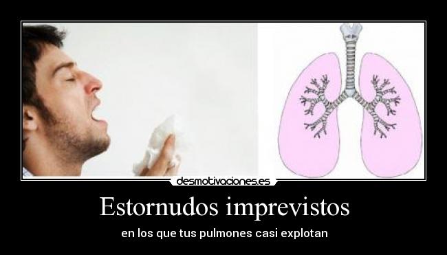 Estornudos imprevistos - 