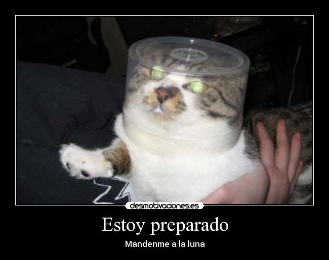 carteles gatosastronauta desmotivaciones