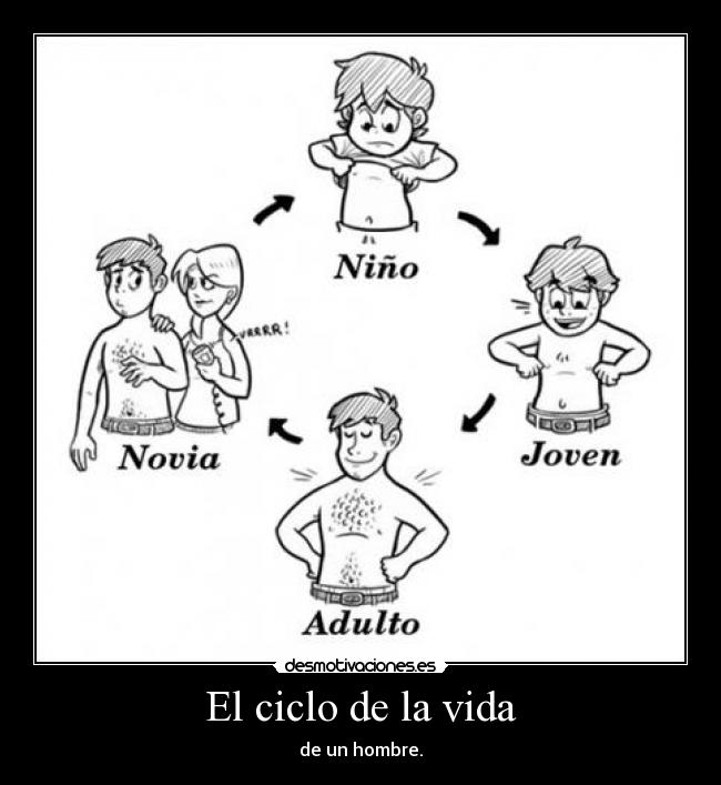 El ciclo de la vida -