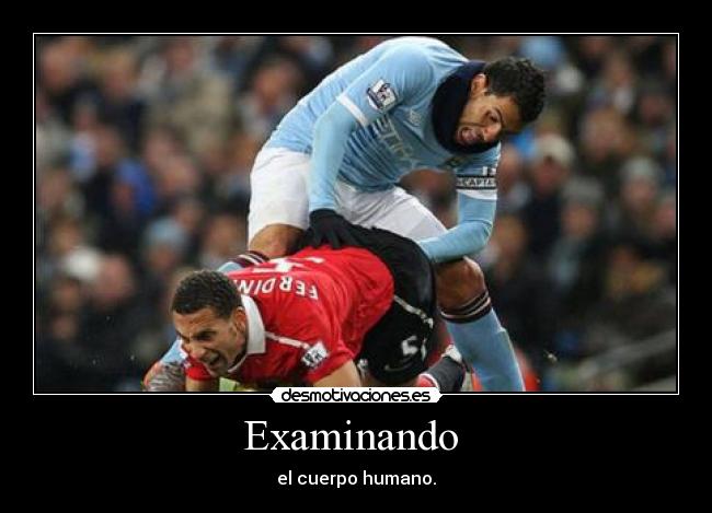 Examinando  - el cuerpo humano.