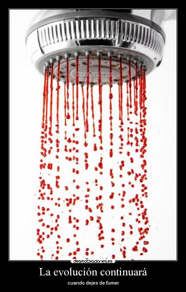 La evolución continuará - 