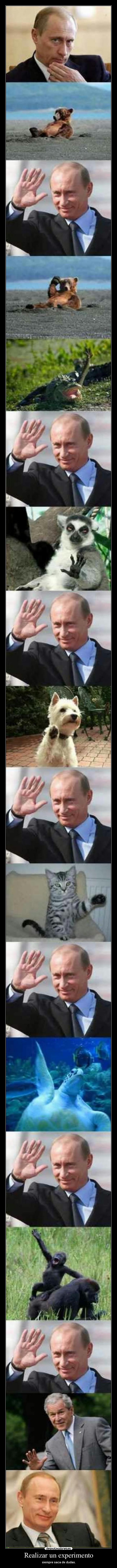 Realizar un experimento - siempre saca de dudas.