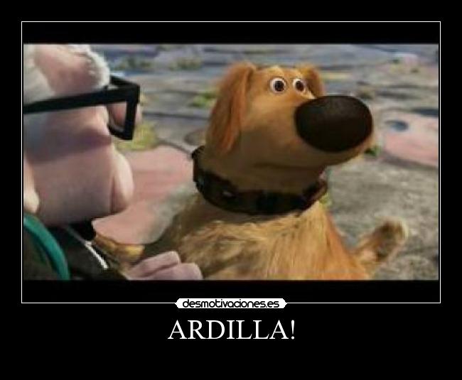 ARDILLA! - 