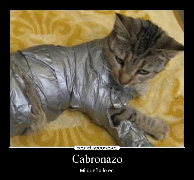 carteles e0iue desmotivaciones