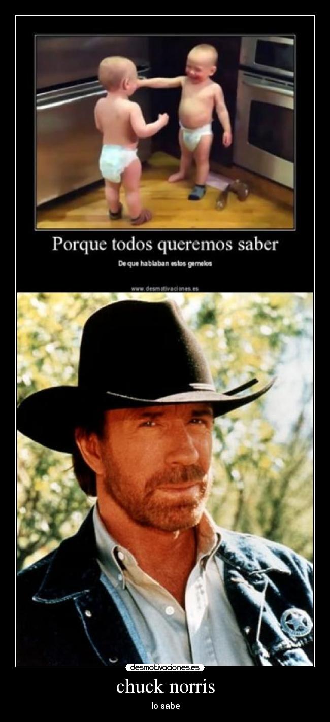 chuck norris - lo sabe
