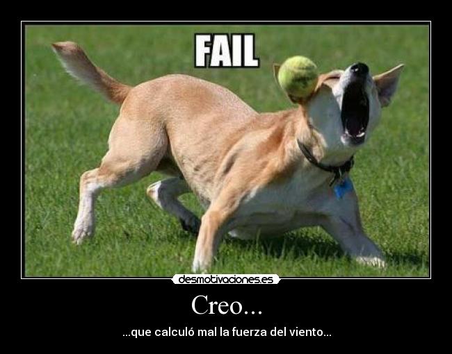 Creo... -