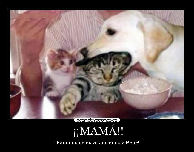 ¡¡MAMÁ!! - 