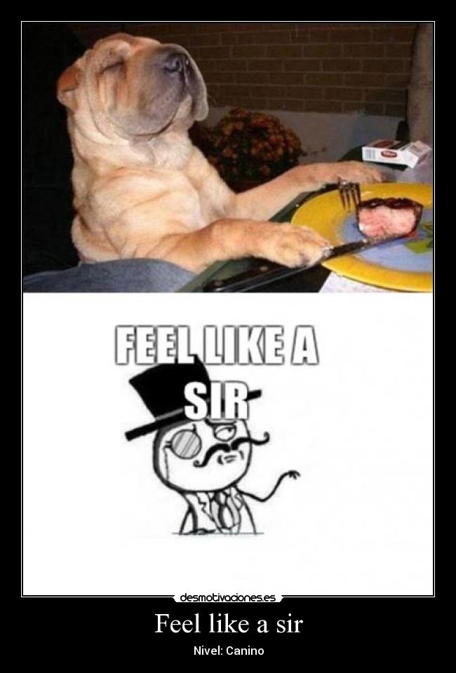 Feel like a sir -