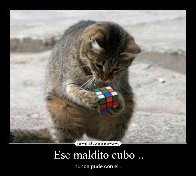 carteles cubo rubik gato desmotivaciones