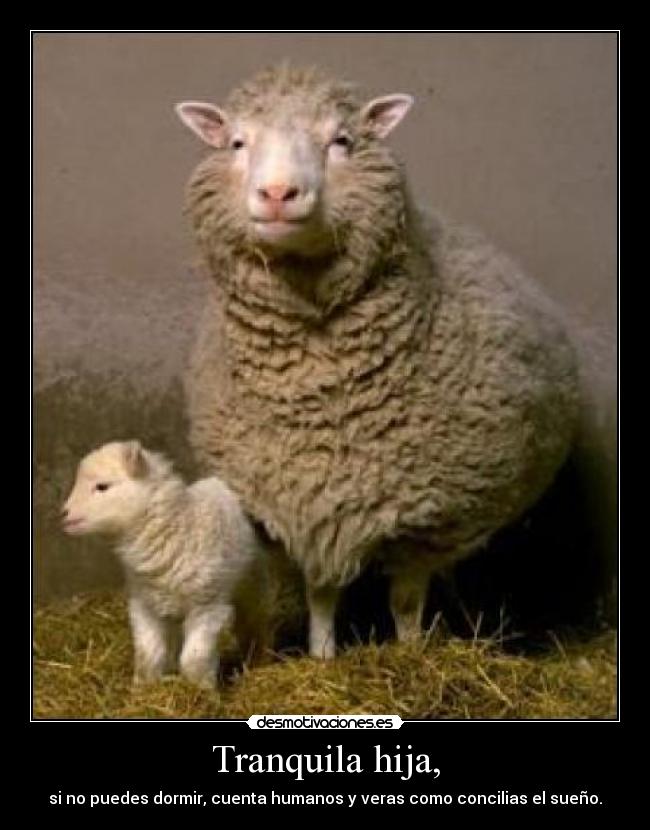 Tranquila hija, -
