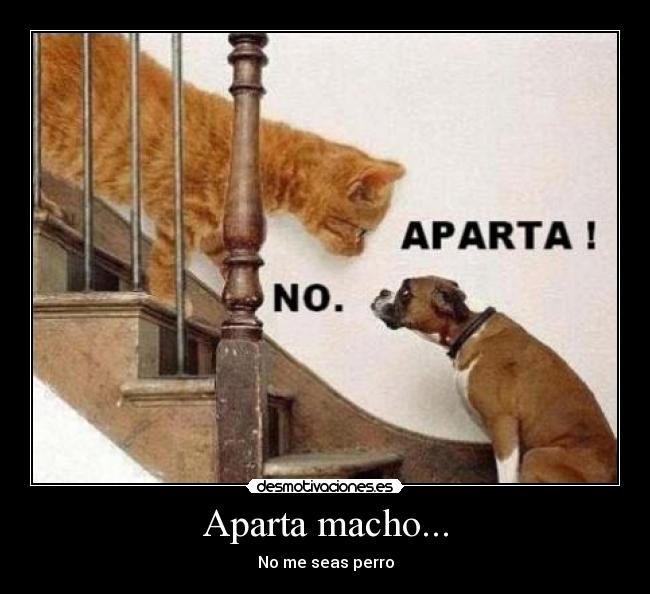 Aparta macho... -