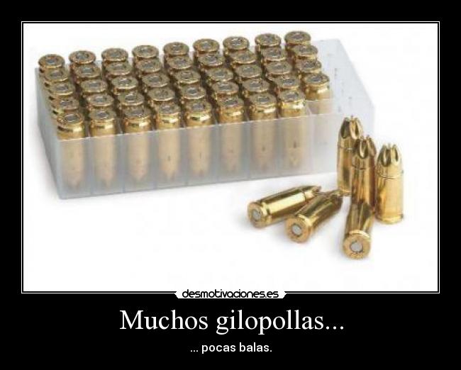 Muchos gilopollas... - 