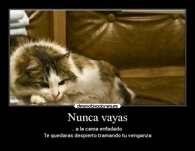 Nunca vayas -