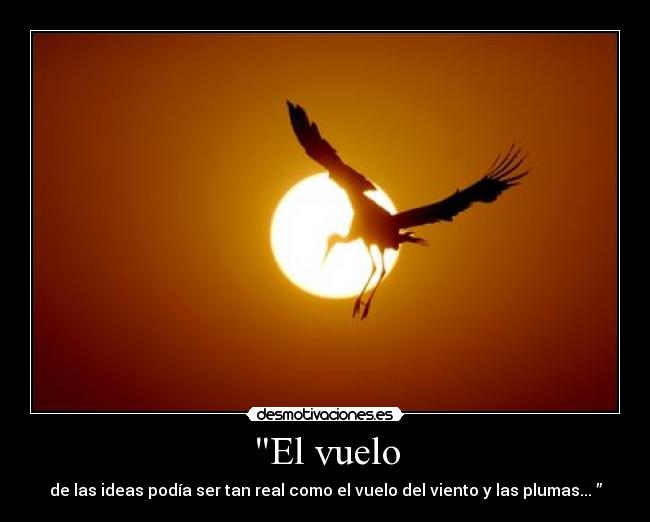 El vuelo - de las ideas podía ser tan real como el vuelo del viento y las plumas... ”