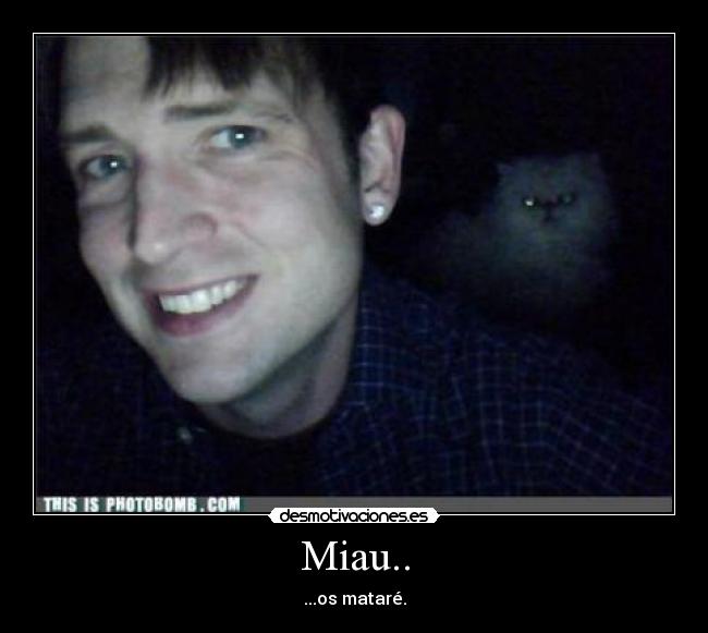Miau.. - 