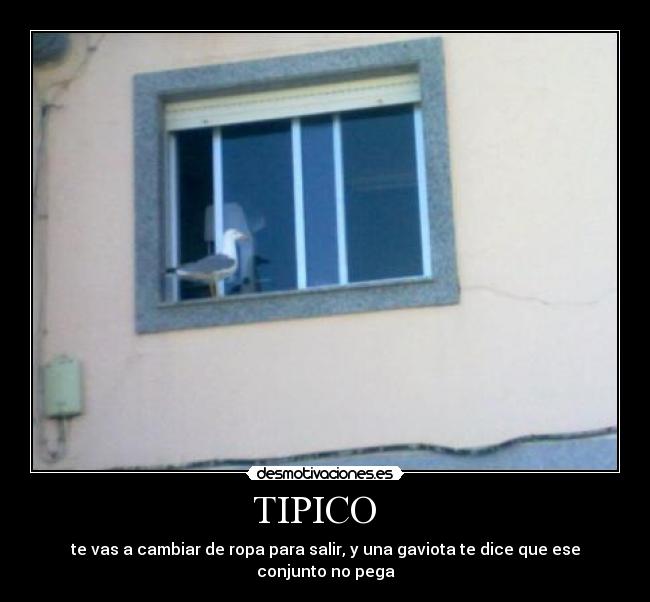 TIPICO   - 