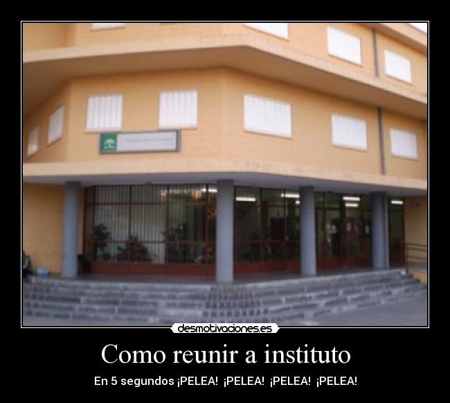 Como reunir a instituto - En 5 segundos ¡PELEA! ¡PELEA! ¡PELEA! ¡PELEA!