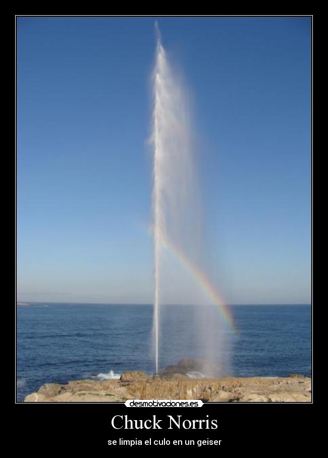 carteles geiser desmotivaciones