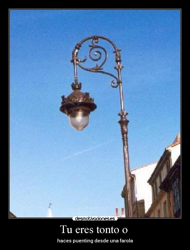 Tu eres tonto o - haces puenting desde una farola