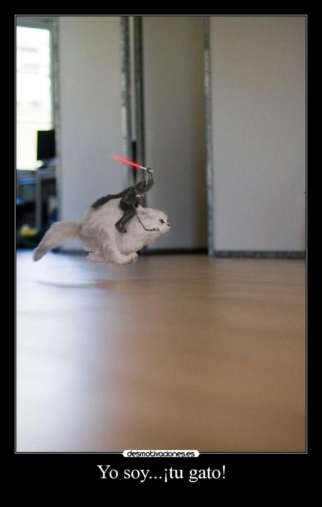 Yo soy...¡tu gato! - 