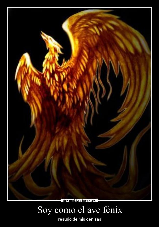 Soy como el ave fénix - resurjo de mis cenizas
