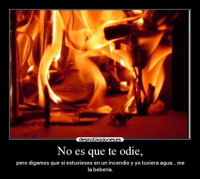 No es que te odie, -