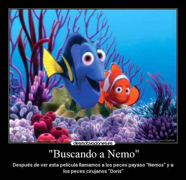 Buscando a Nemo - Después de ver esta película llamamos a los peces payaso Nemos y a
los peces cirujanos Doris