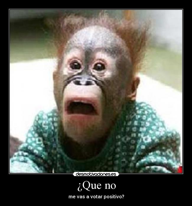 ¿Que no - 