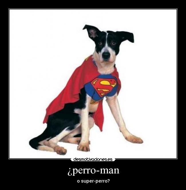 ¿perro-man -
