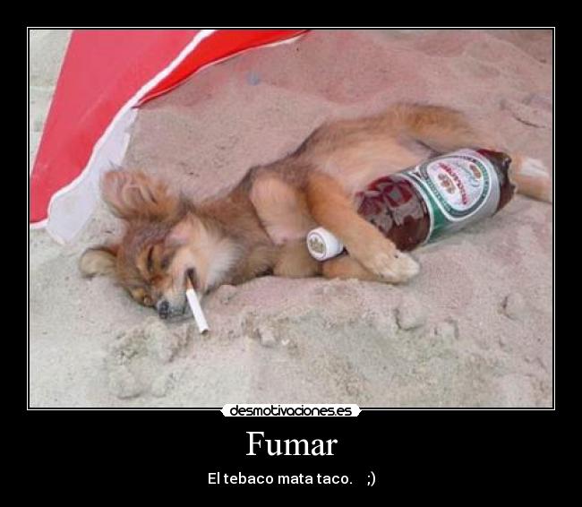 Fumar -