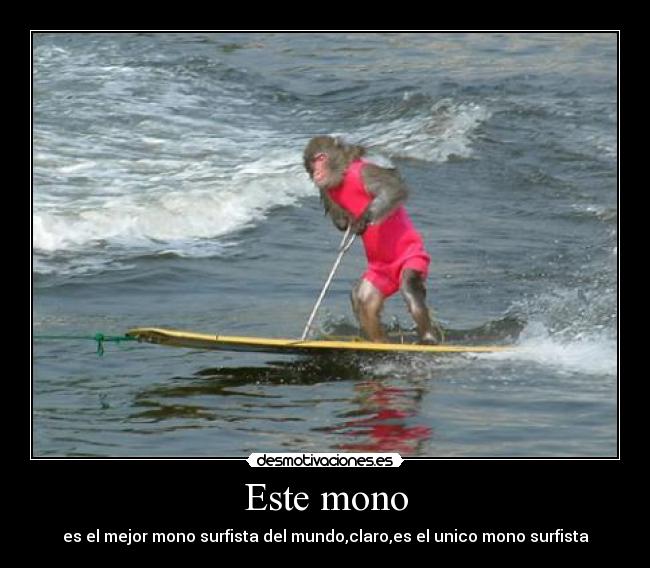 Este mono -