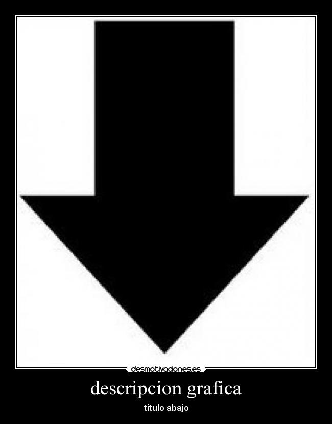 descripcion grafica - 